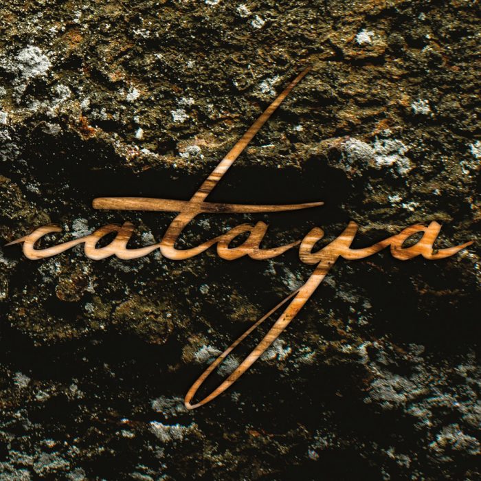 cataya_sukzession_albumcover