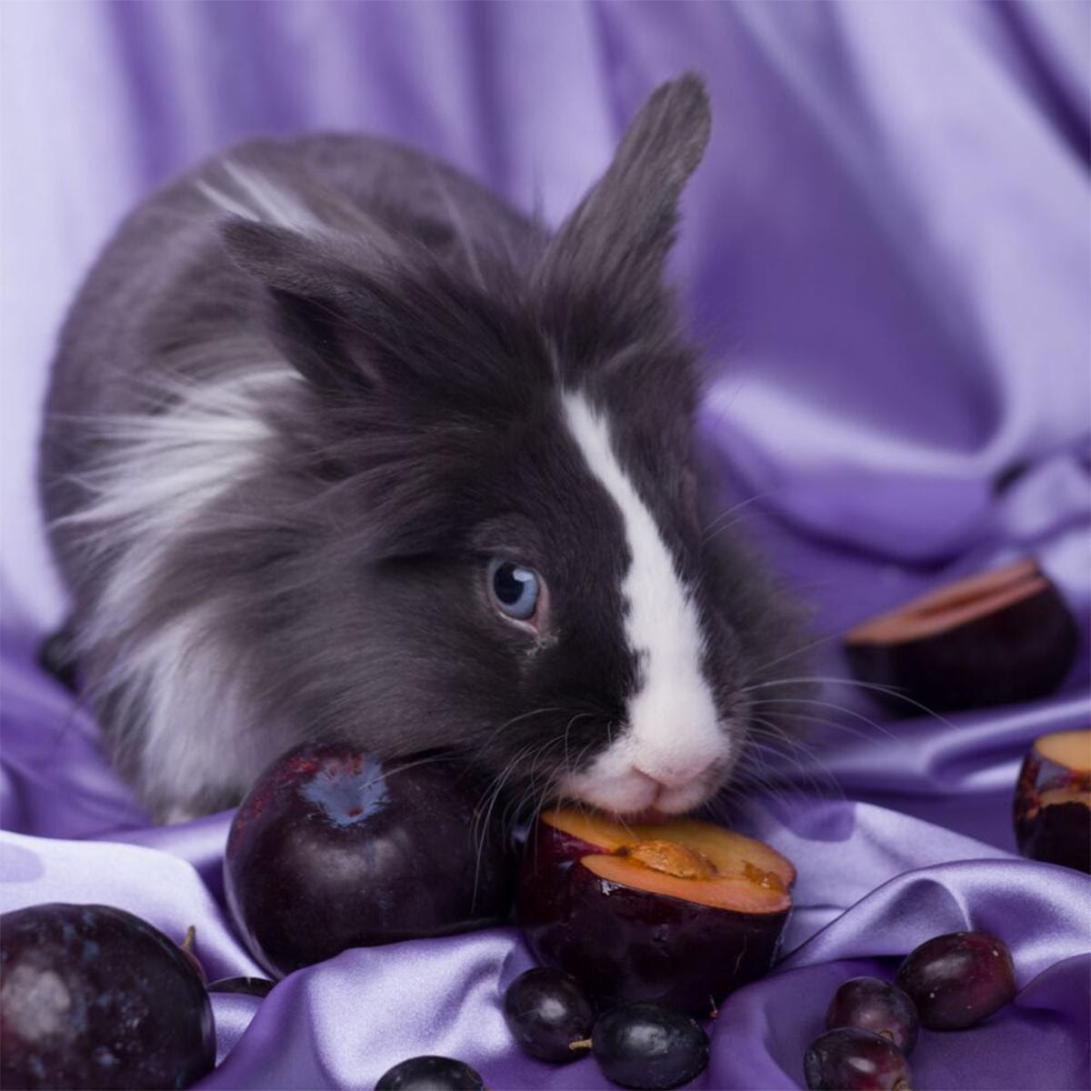 Slothrust Peach minutenmusik.