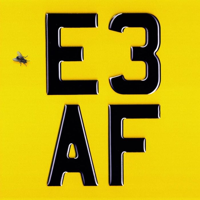 Das Cover von Dizzee Rascals Album "E3 AF"