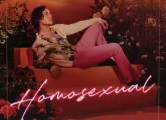 cover zum album homosexual von darren hayes