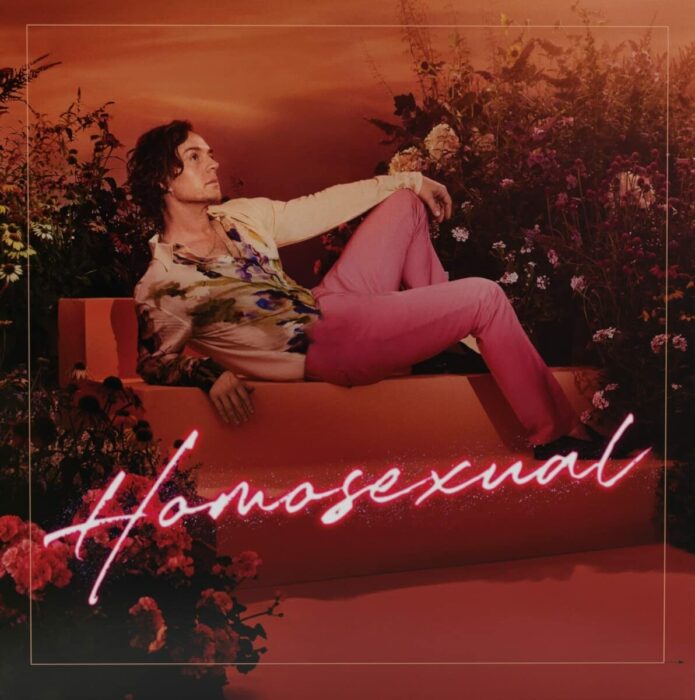 cover zum album homosexual von darren hayes