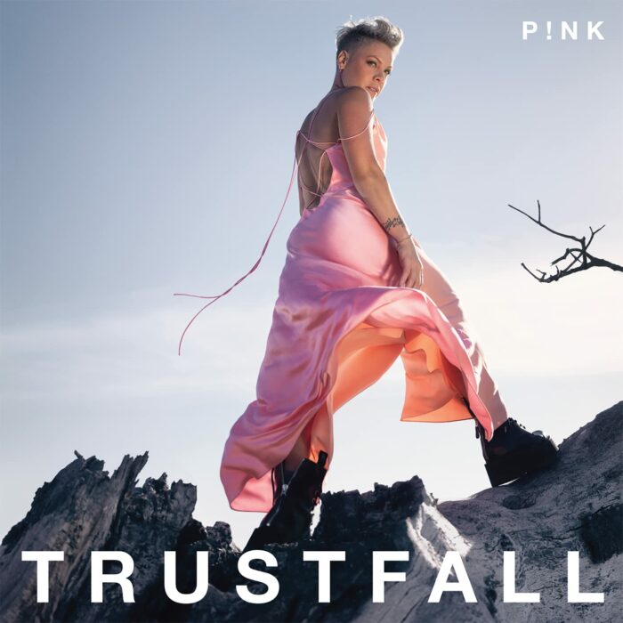 pink trustfall cover