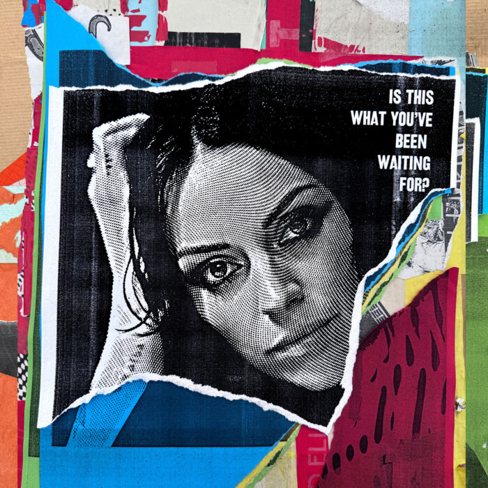 amy macdonald is this what